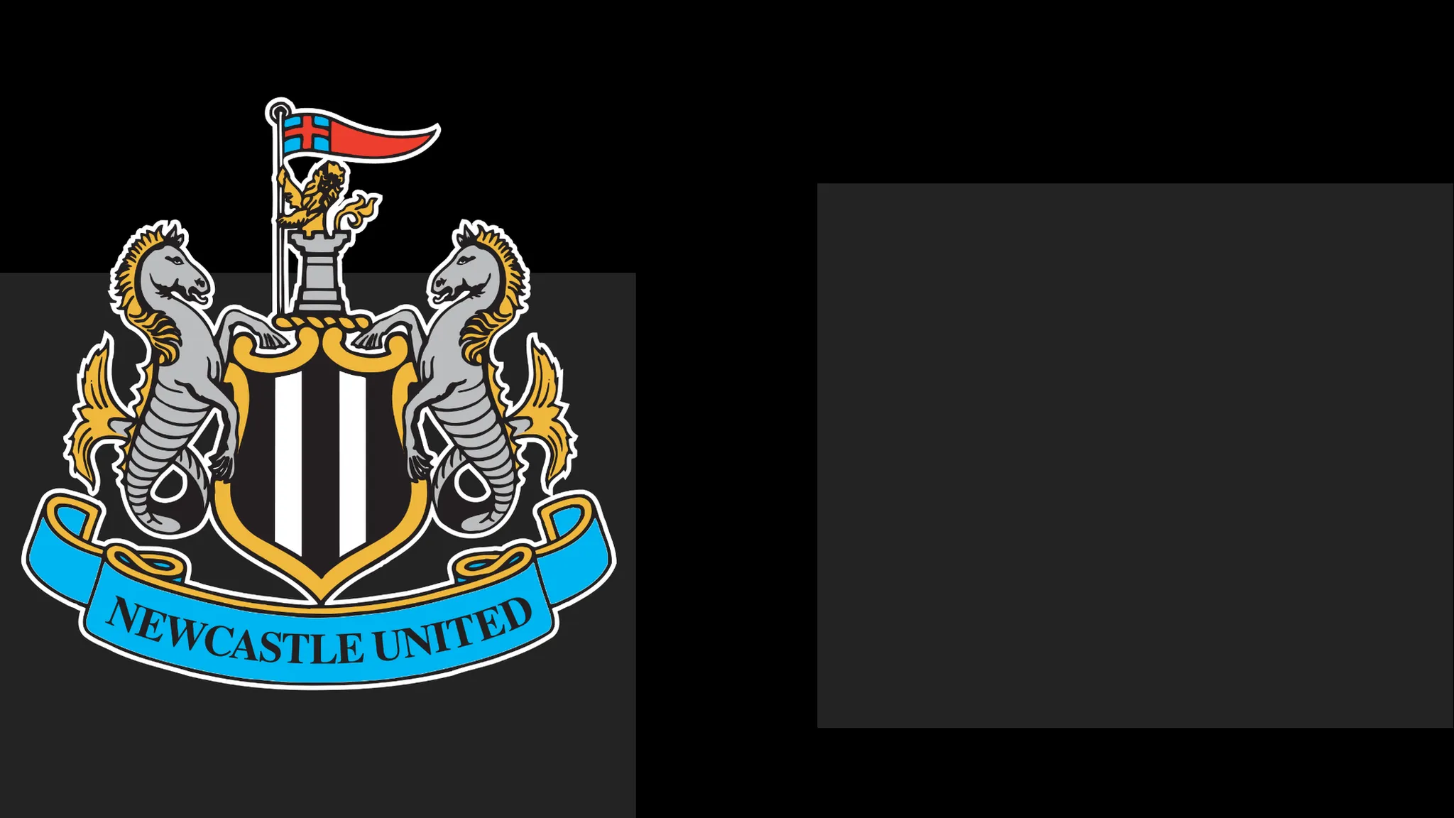 NUFC Extend Apology to Supporters Amid Matchday Issue