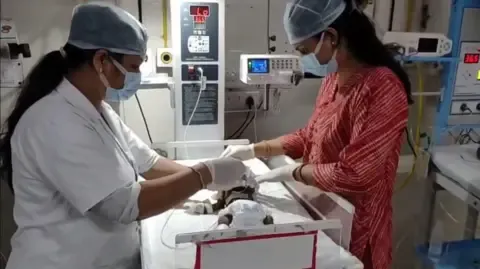Infant Interred Alive in the Country Battles for Survival