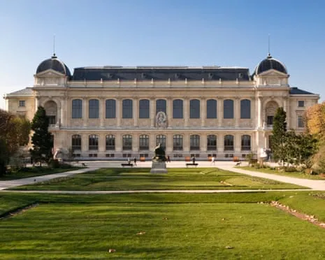 Priceless Golden Samples Snatched in Bold Robbery at France's National Museum