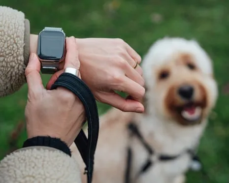 The Honest Scoop Concerning Fitness Trackers? Daily Existence Is Better Devoid of a Nagging Zealot on Your Wrist